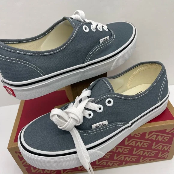 Vans Men’s Authentic Color Theory Stormy WeatherVN000EGARV2 Sneakers